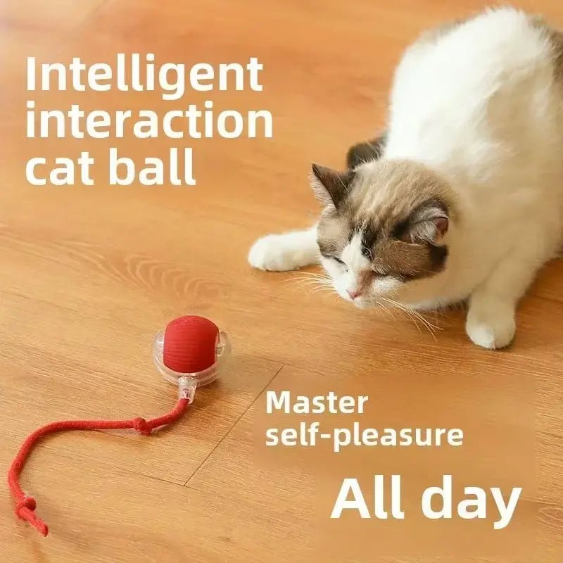 Interactive 360° Smart Automatic Rolling Pet Ball for Cats and Dogs - Indoor Play Toy