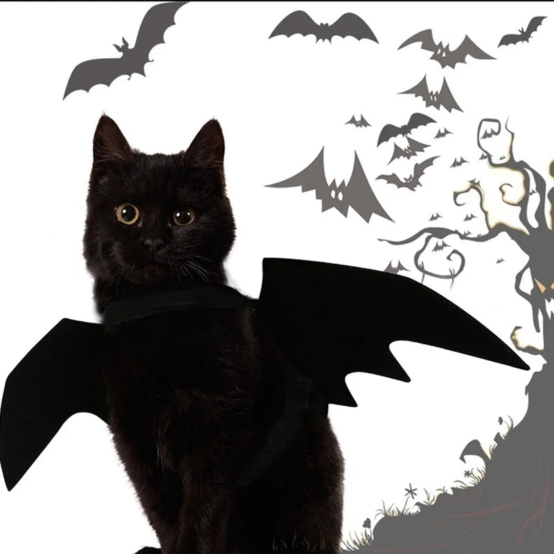 Halloween Themed Pet Costume with Black Bat Wings Harness for Cats and Dogs