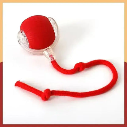 Interactive 360° Smart Automatic Rolling Pet Ball for Cats and Dogs - Indoor Play Toy