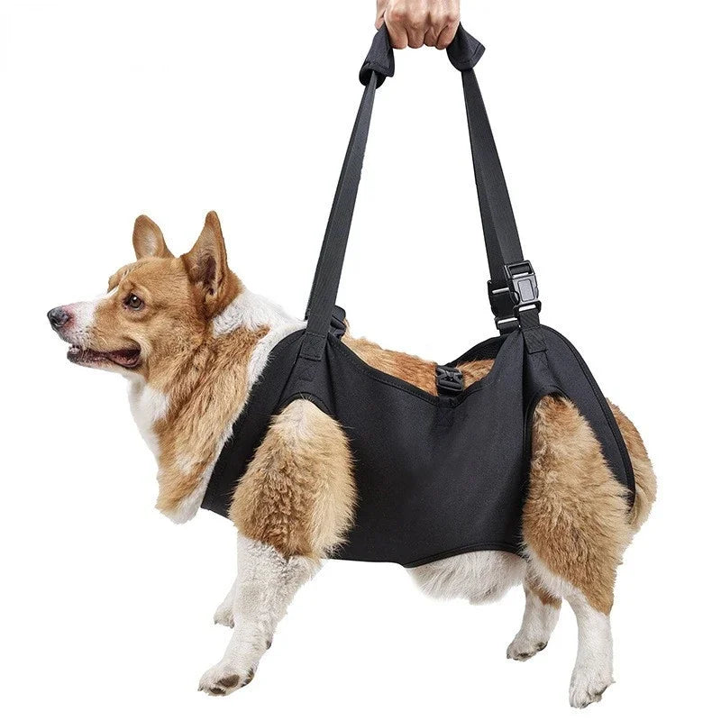 Adjustable Full Body Support Dog Lift Harness for Assisted Mobility and Rehabilitation