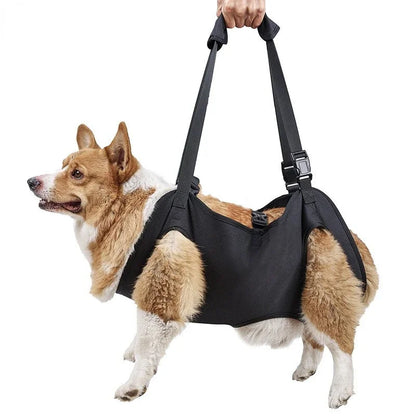 Adjustable Full Body Support Dog Lift Harness for Assisted Mobility and Rehabilitation