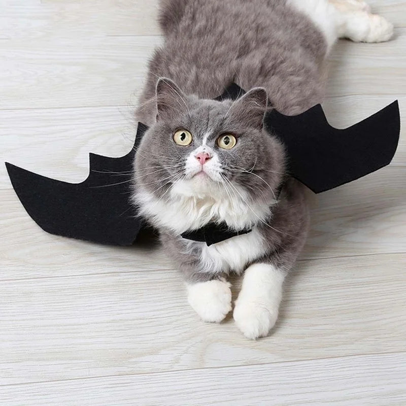 Halloween Themed Pet Costume with Black Bat Wings Harness for Cats and Dogs