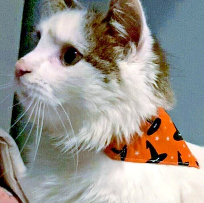 Handmade Charity Halloween Dog Bow and Bandana - Available in Multiple Sizes - Made in the UK