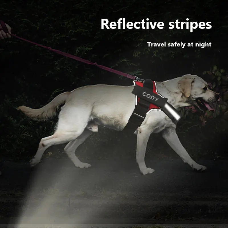 Pawstoclaws Customizable Reflective Adjustable No-Pull Dog Harness