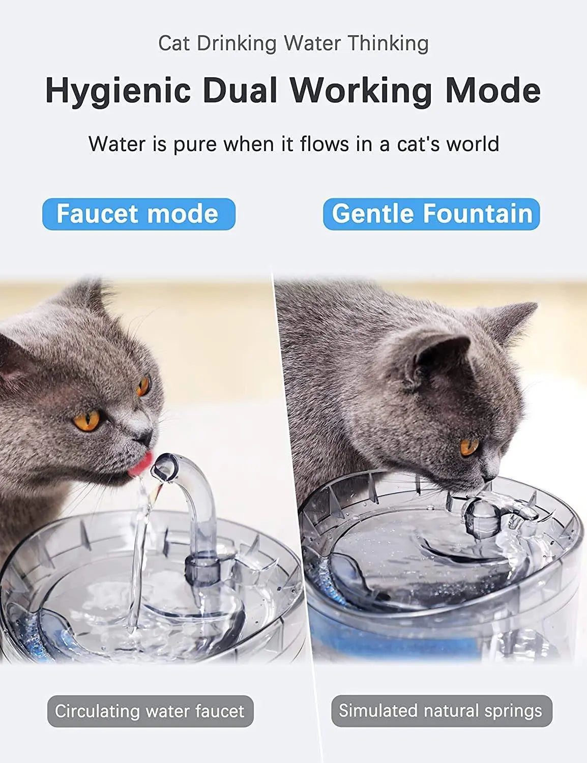 Cat Water Fountain and Dispenser for Pets