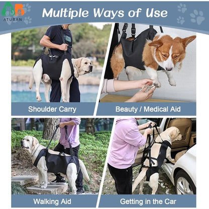 Adjustable Full Body Support Dog Lift Harness for Assisted Mobility and Rehabilitation