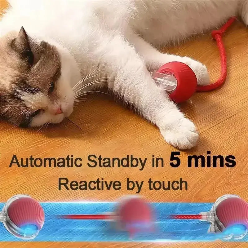 Interactive 360° Smart Automatic Rolling Pet Ball for Cats and Dogs - Indoor Play Toy