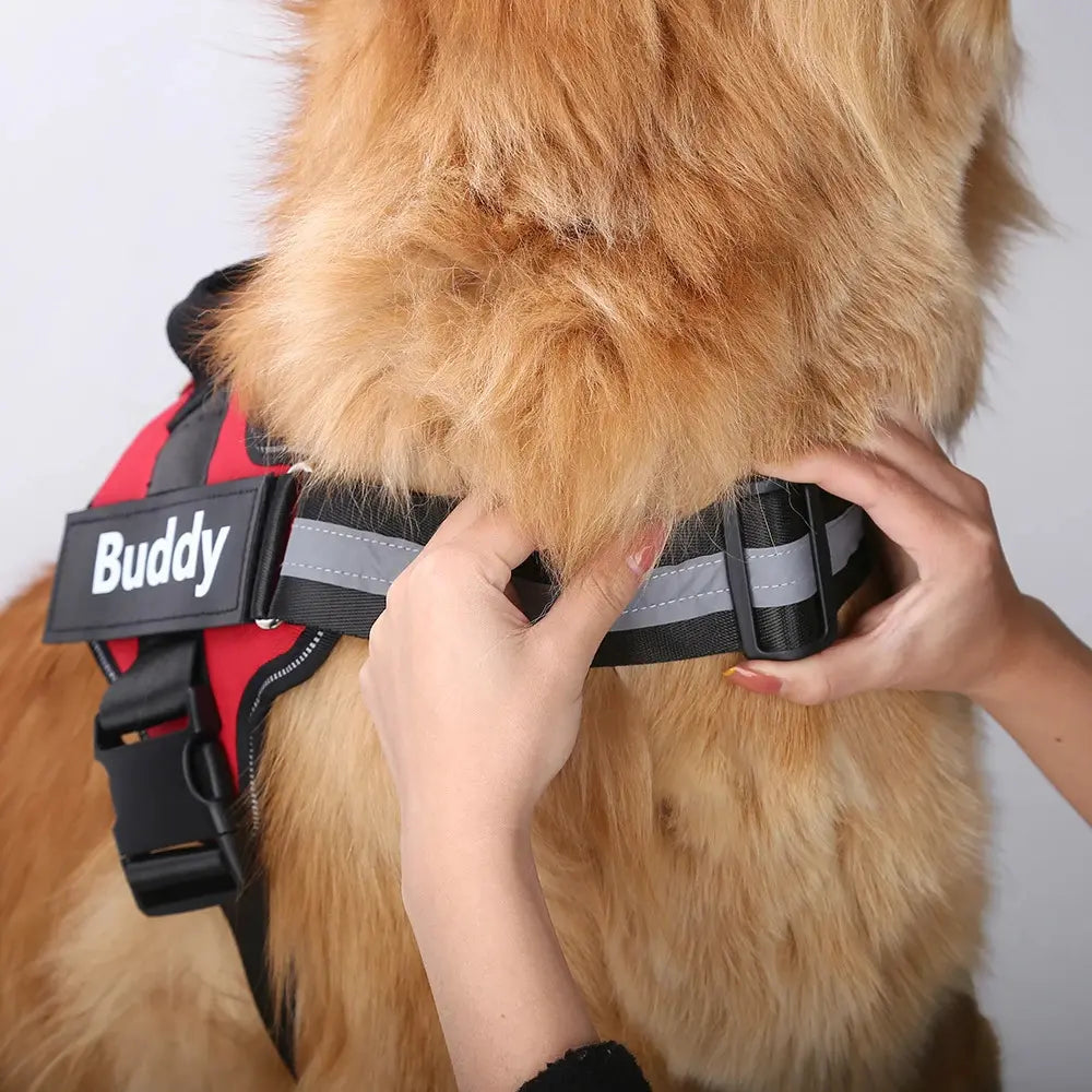 Pawstoclaws Customizable Reflective Adjustable No-Pull Dog Harness