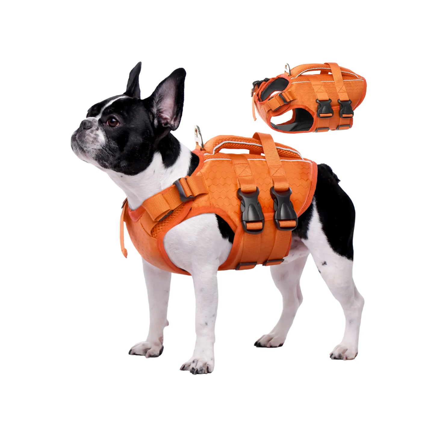 Kuoser High Buoyancy Dog Life Jacket with Reflective Accents - Adjustable Life Vest for Small, Medium, and Large Breeds - Lightweight Dog Life Preserver with Rescue Handle for Aquatic Activities