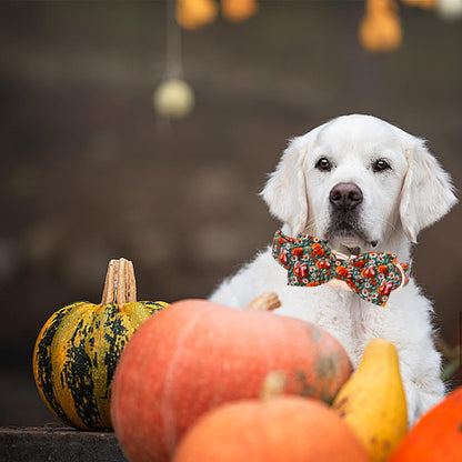 Halloween-Themed Adjustable Dog Collar with Bow and Pumpkin Floral Print for Small to Large Dogs
