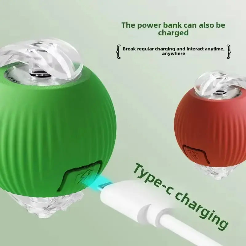 Interactive 360° Smart Automatic Rolling Pet Ball for Cats and Dogs - Indoor Play Toy