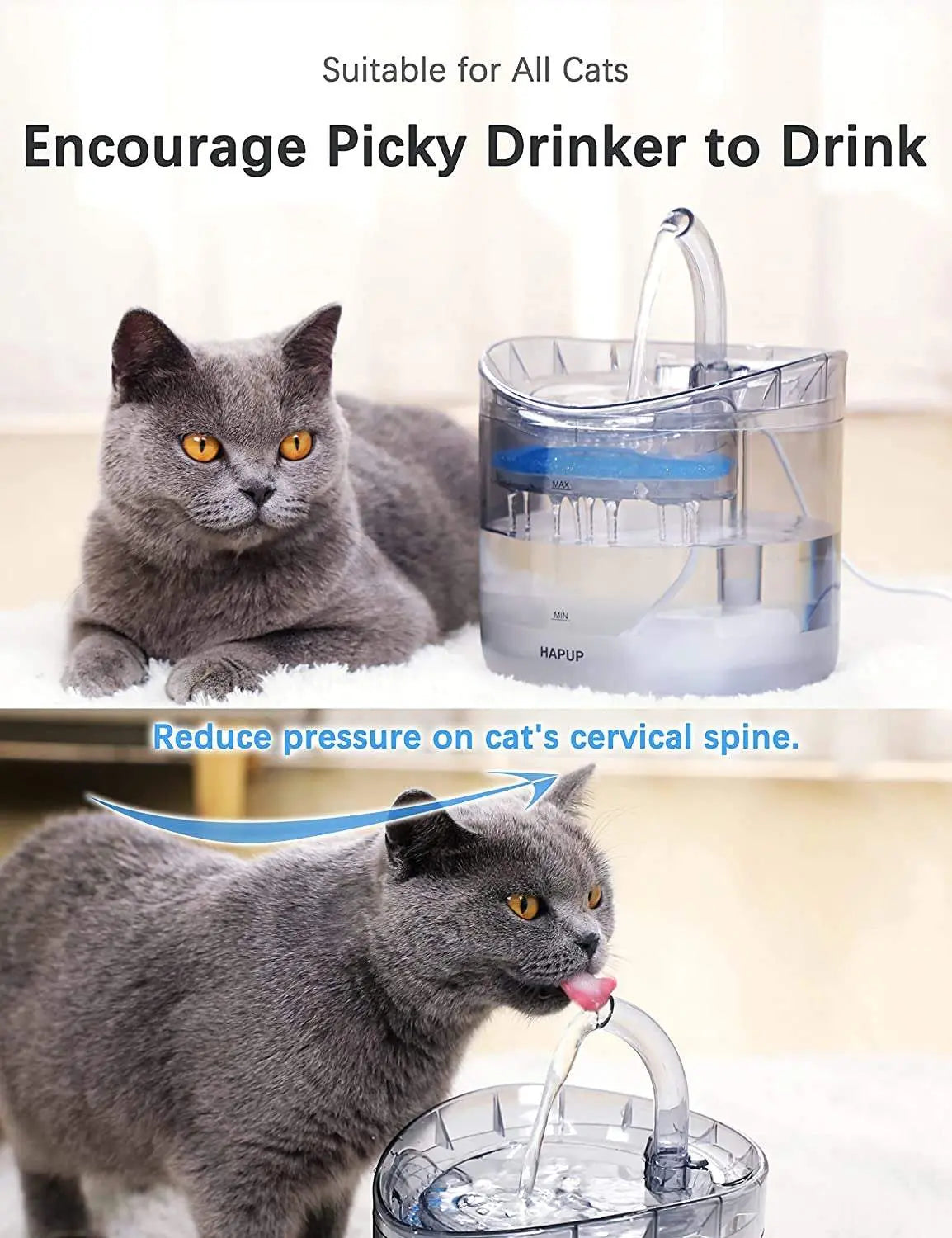 Cat Water Fountain and Dispenser for Pets