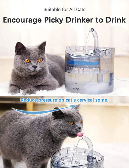 Cat Water Fountain and Dispenser for Pets