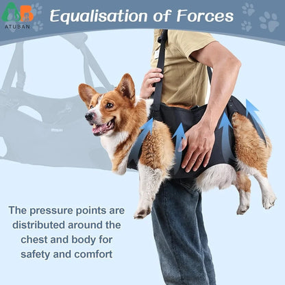 Adjustable Full Body Support Dog Lift Harness for Assisted Mobility and Rehabilitation