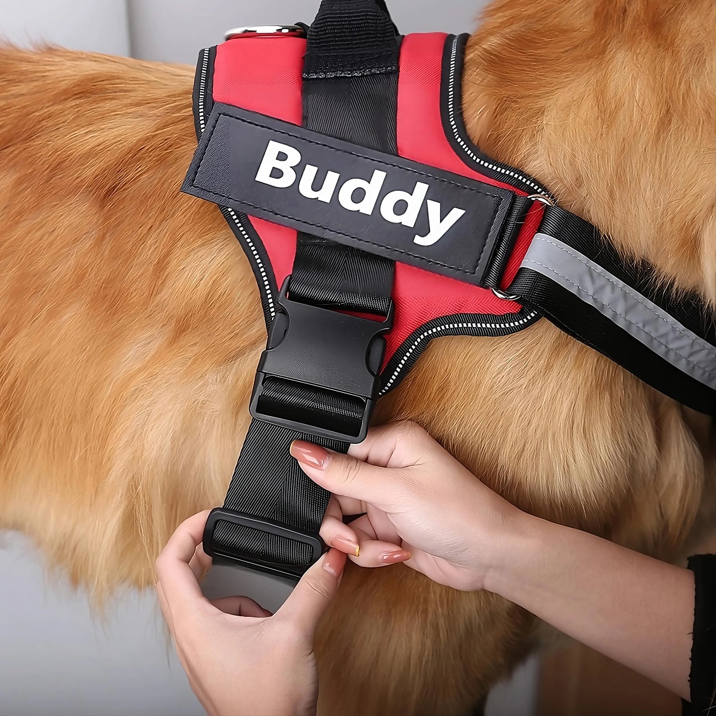 Pawstoclaws Customizable Reflective Adjustable No-Pull Dog Harness