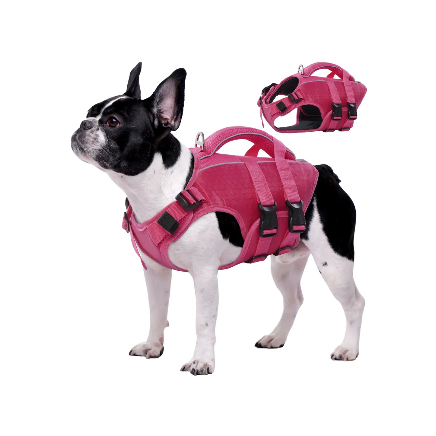 Kuoser High Buoyancy Dog Life Jacket with Reflective Accents - Adjustable Life Vest for Small, Medium, and Large Breeds - Lightweight Dog Life Preserver with Rescue Handle for Aquatic Activities
