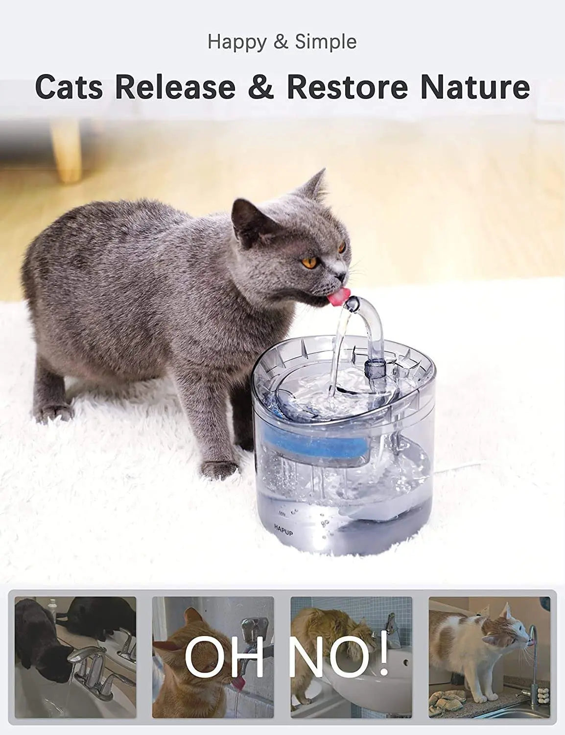 Cat Water Fountain and Dispenser for Pets