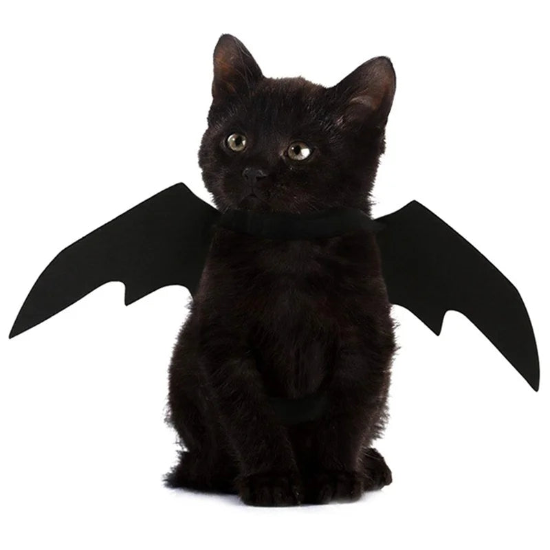 Halloween Themed Pet Costume with Black Bat Wings Harness for Cats and Dogs